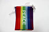 AZ FLAG Ghirlanda 6 Metri 20 Bandiere Arcobaleno Pace 21x15cm - Bandiera Peace - Rainbow Flag 15 x 21 cm ...