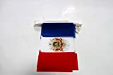 AZ FLAG Ghirlanda 6 Metri 20 Bandiere NAPOLEONE Bonaparte Primo Impero Francese 21x15cm - Bandiera Blasone Francia 15 x 21 ...