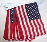 AZ FLAG Ghirlanda 6 Metri 20 Bandiere Stati Uniti 21x15cm - Bandiera Americana – USA 15 x 21 cm - ...