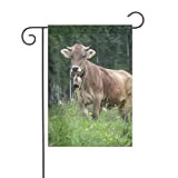 Bandiera da giardino in vera mucca svizzera marrone decorazione da giardino: >> Bandiere decorative, principalmente per patio, giardini, vasi di ...