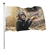 Bandiera decorativa per casa, decorazione da giardino, adorabile scimpanzé per bambini, per tutte le stagioni, per le vacanze, benvenuto, giardino, ...