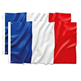 Bandiera Francia 90 x 150 cm - ultra resistente, doppia funzione con 2 occhielli e passante per asta, bandiera nazionale ...