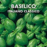 BASILICO ITALIANO CLASSICO - Semi