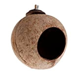 BASSK - Pappagallo naturale di noci di cocco, gabbia per uccelli, scoiattolo, criceti, giocattoli per animali domestici