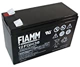 Batterie FIAMM 12 V 9 Ah 12FGH36