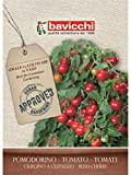 Bavicchi VPM6407 Busta semi Pomodorino Ciliegino a cespuglio