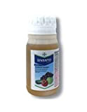 Bayer Sivanto Prime Insetticida Insetticida sistemico contro afidi, aleurodidi e cicaline per vite, frutta, orticole 250ml