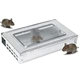 Beat The Pest - Trappola per mouse in metallo, cattura fino a 10 topi