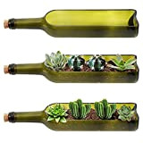 BELLE VOUS Bottiglia Vino Vetro Vasi Design per Interni Fioriera (Confezione da 3) - L32 x L7,1 cm - Sezione ...