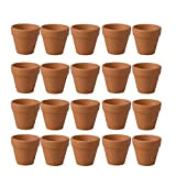 BESTONZON - Mini vasi in terracotta, 20 pezzi, piccoli vasi in terracotta, in terracotta, per piante grasse, per Natale, interni ...