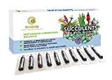 BIOBOB Succulents - Concime Biologico per Piante Grasse - Kit salvaspazio per piante grasse