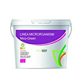 Bioges Mico-Green da 1 kg – micorrize in Polvere