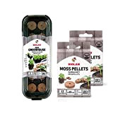 Biolan - Mini serra per 12 semi con 36 pellet di muschio senza torba per germinazione