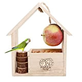 Bird feeder La casa di nidificazione di uccelli in legno appesa alla stazione di alimentazione per piccoli uccelli, i mangiatori ...