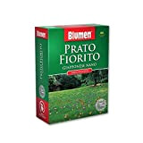 Blumen - Prato Fiorito Con Margherite 500 Gr