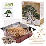 Bonsai Kit incl. eBook GRATUITO - Starter Set con mini serra, semi e suolo - idea regalo sostenibile per gli ...