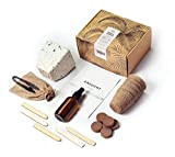 Bonsai Samen Set: Bonsai Starter Kit enthält exklusives Baum Saatgut für Bonsai Bäume - 24 Teile zur Anzucht - Pflanzen ...