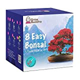 Bonsai Tree Kit | Grow your own 8 beautiful bonsai varieties at home| Complete growing kit - Suitable for beginners ...