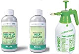 Bottos, Concime Green Up 1 Litro Rinverdente Acidificante Antimuschio per Tappeti Erbosi + Concime Help 10+5+7+Micro da 1 litro con ...