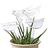 BraveWind - Confezione da 4 lampadine a forma di uccello, in plastica, autoirriganti, per irrigazione da giardino, per piante e ...