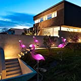 BrightDaily Ornamenti per prato con fenicotteri rosa per casa, patio, palo, luci solari rosa, fenicottero, arte a energia solare, giardino, ...