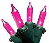 Brite Star - Set di luci Professionali 100 Pezzi Mini Green Wire_Pink