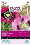 Buzzy Poppy Flowers - Miscela di papaveri Somniferum