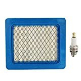 C-FUNN Kit di Servizio Filtri Plug & Air per Falciatrici Hon-da Izy/Hrx E Gcv 135/160/190