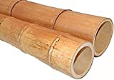 Canna di Bamboo Gigante | TERZA SCELTA ! 100-150-200-300 cm | CON FESSURE | Canne Arredamento | MOSO - bambu ...