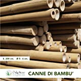 Canna di bambù Moso Alta 200 cm, Diametro 5-6 cm, Pezzo Singolo, Canna 100% Italiana, Non trattata, Resistente e Naturale ...