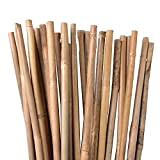 Canne di bambù, rampicanti, aste per piante in bambù, 120 cm, colore naturale, diverse lunghezze