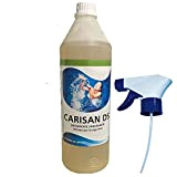 Carisan DS detergente/sgrassante flacone da 1 kg per la Pulizia della Linea d'Acqua della Piscina (con spruzzino)
