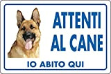 cartello alluminio cm 30x20 ATTENTI AL CANE IO ABITO QUI