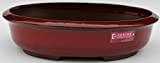 CERTRE Vaso Ovale per Bonsai Art.6001 - cm.25x19x8h. Smaltato Rosso Nuovo Novita'