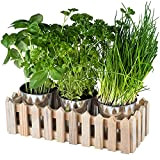 Chefarone Set di 3 vasi per erbe aromatiche da cucina, per piante aromatiche, da interni, per erbe aromatiche fresche da ...