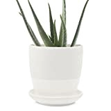 Chive Big Dyad - Grande vaso per pianta grassa e cactus, 12,7 cm in ceramica con foro di drenaggio e ...