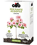 CIFO concime per piante Acidofile, 1 kg, fioriture rigogliose e durature, ideale per azalee, rododendri, camelie, ciclamini