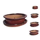 Ciotola per bonsai, in ceramica, di diverse dimensioni, colore rosso, di alta qualità, con piattino, per interni ed esterni, ovale