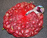 CIPOLLA DA SEMINA IN BULBI CONFEZIONE DA 500 GRAMMI (RED BARON (tipo tropea))