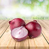 Cipolla rossa 100 semi - Dal Portogallo 100% naturale senza aiuti di propagazione chimica o ingegneria genetica, solo pura natura