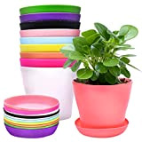 Cisolen Confezione da 10 vasi da fiori colorati in plastica con vaschette per piantine in miniatura per giardino, ufficio, balcone, ...