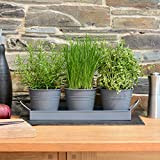CKB LTD Set di 3 vasi in metallo con vassoio per erbe aromatiche - Per interni, davanzali e balconi, coltiva ...