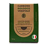 CLASSE ITALY Scatola 10Kg Biologico Vegetale di Legna di Faggio e Leccio Italiano 10 kg | Carbonella/Carbone, Grill, Grigliata InstaGrill ...
