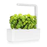 Click and Grow Smart Garden | Kit Completo per l' Orto in Casa | Più facile di Serra Idroponica Indoor ...