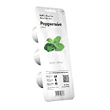 Click & Grow 4742793007397 Menta Piperita Refill 3-Pack, Verde, 5.4x5.4x6.6 cm