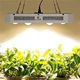 COB LED Grow Light Full Spectrum, Citizen 3500 K e 5000 K bianco LED Grow Light, doppio interruttore on/off, eccellente ...