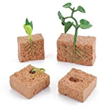 cobee Set di figurine per il ciclo di vita delle piante, 4 modelli di ciclo di crescita delle piante di ...