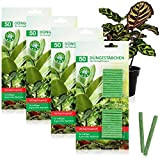 com-four® 200x Bastoncini fertilizzanti per Piante Verdi, Fertilizzante per Piante, per Una Crescita Sana e vigorosa Senza eccessiva fertilizzazione