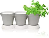 COM-FOUR® 3x Vaso per erbe aromatiche con piattino - vaso per fiori ed erbe aromatiche - vaso decorativo per giardino, ...