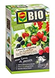 COMPO BIO Concime Organico per Piccoli Frutti, Con Lana di Pecora, Consentito in agricoltura biologica, 750 g